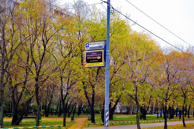 Resize of DSC 0116